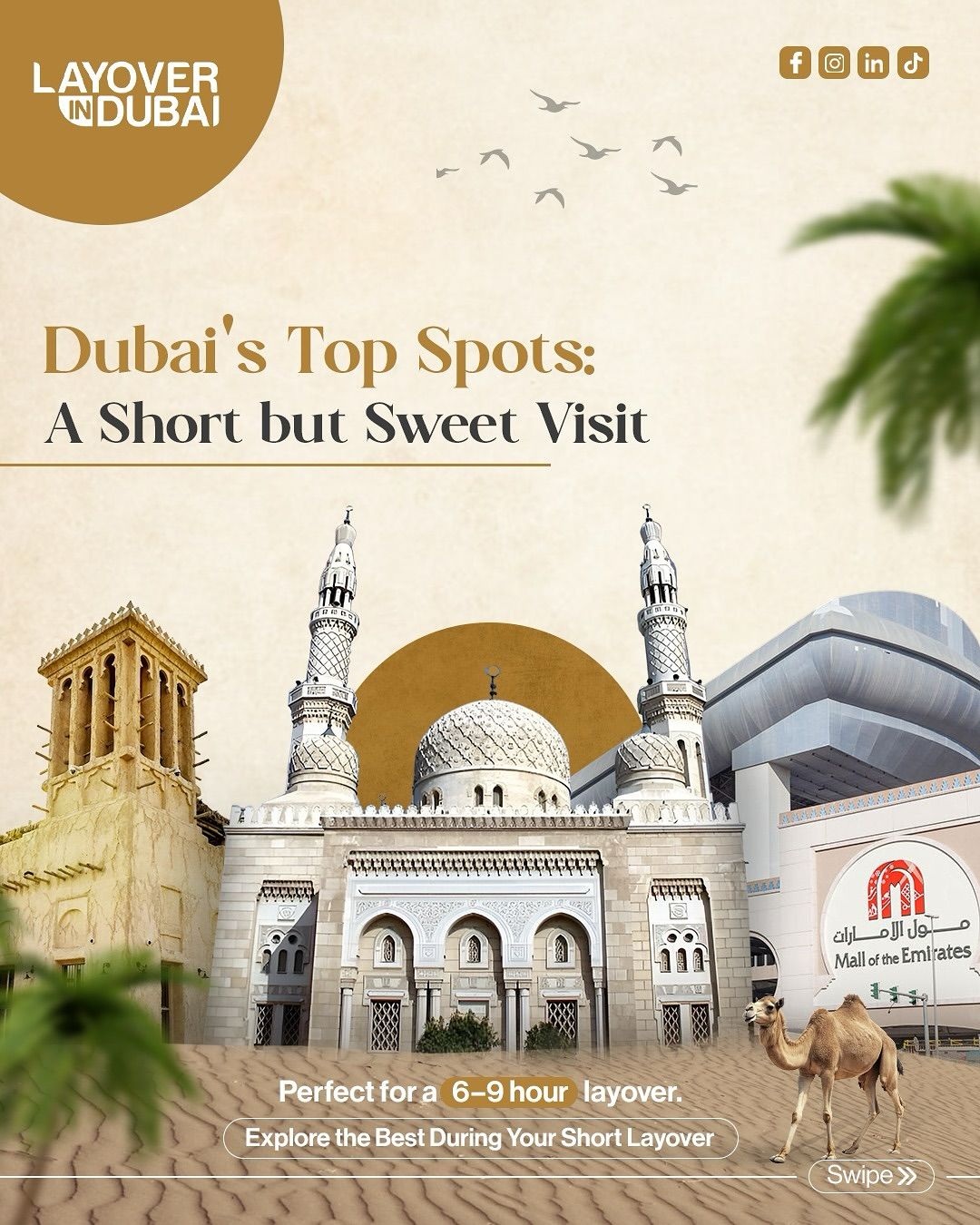 Dubai layover tour