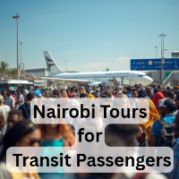 Best Nairobi Tours for Transit Passengers